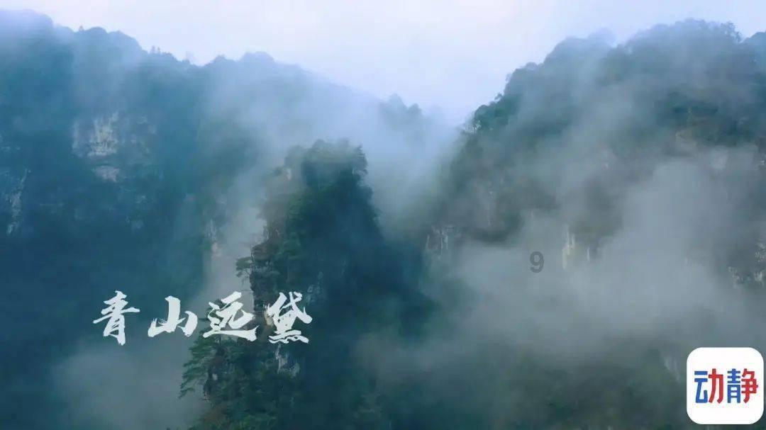 67岁的苏小明,走到今天该怪谁呢?成于音乐,“败”于自己
