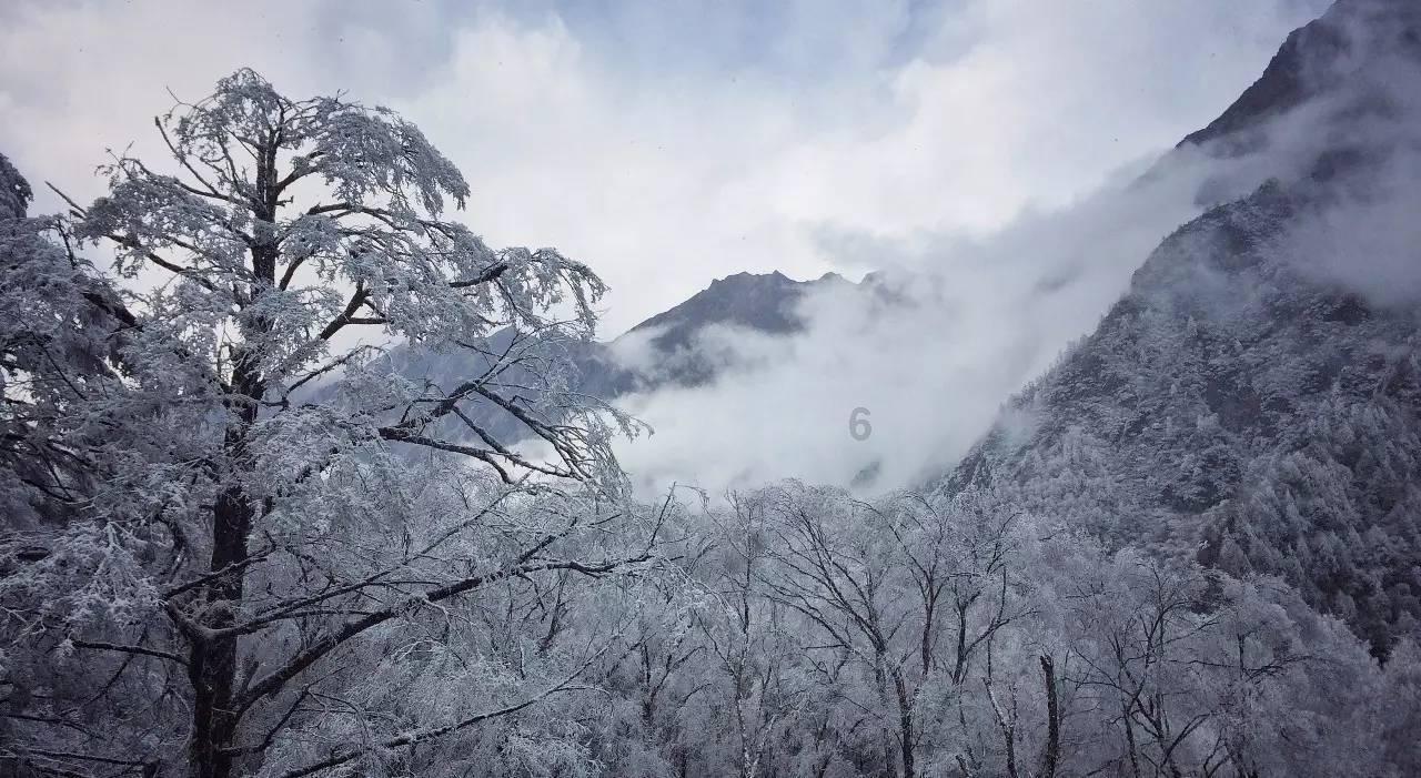 “豹力体验日”——天津站，领略方程豹硬派力量美学 扫码阅读手机版