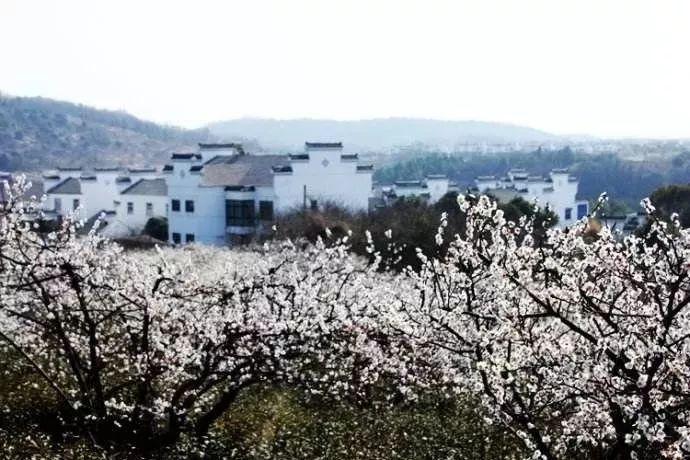 平安建设考核走在汕尾前列