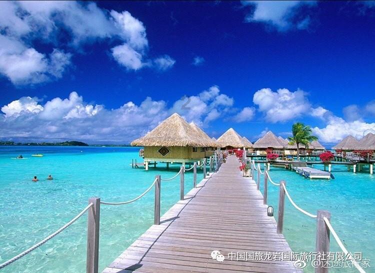 老婆送的节日礼物,有缘入手心心念念的GP熊猫盘