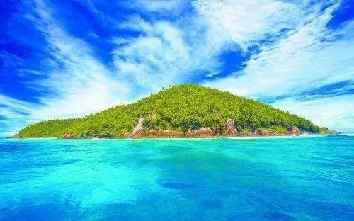 逃离荒废丛林屋