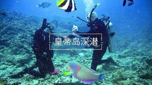 NF2023标准查询目录5宽天下标准翻译