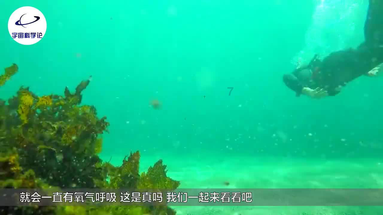 焦作城管局长进行政服务大厅