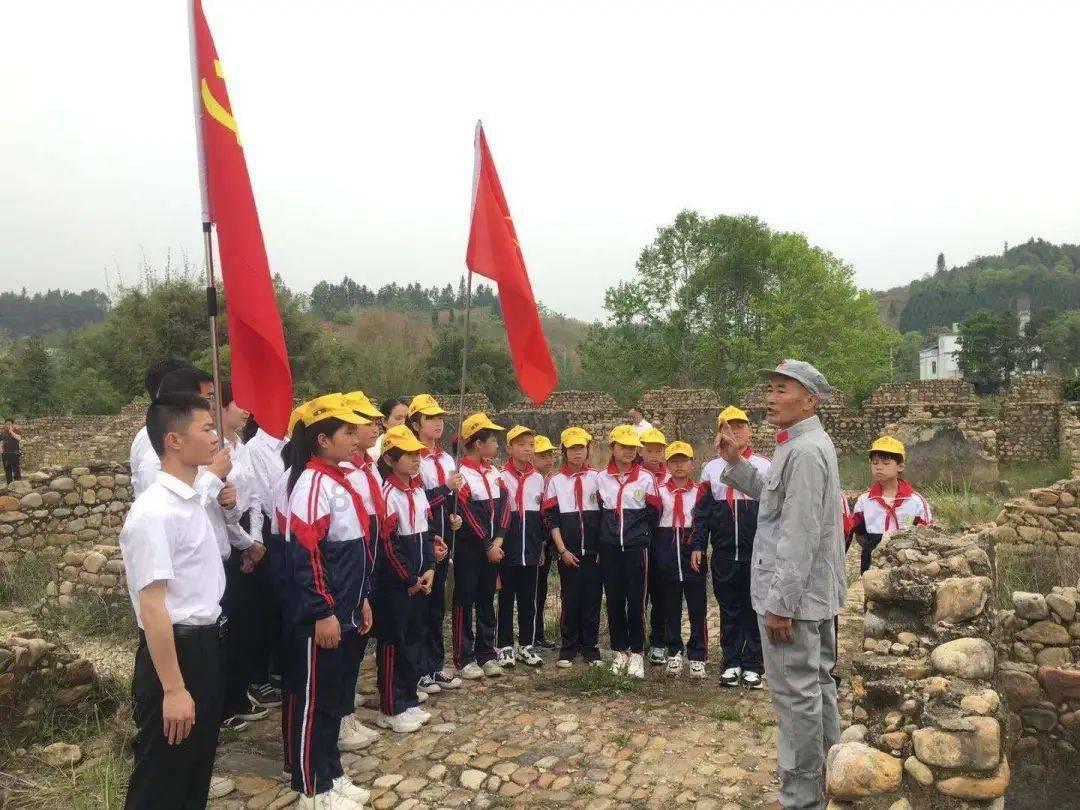 银河中动物逃生