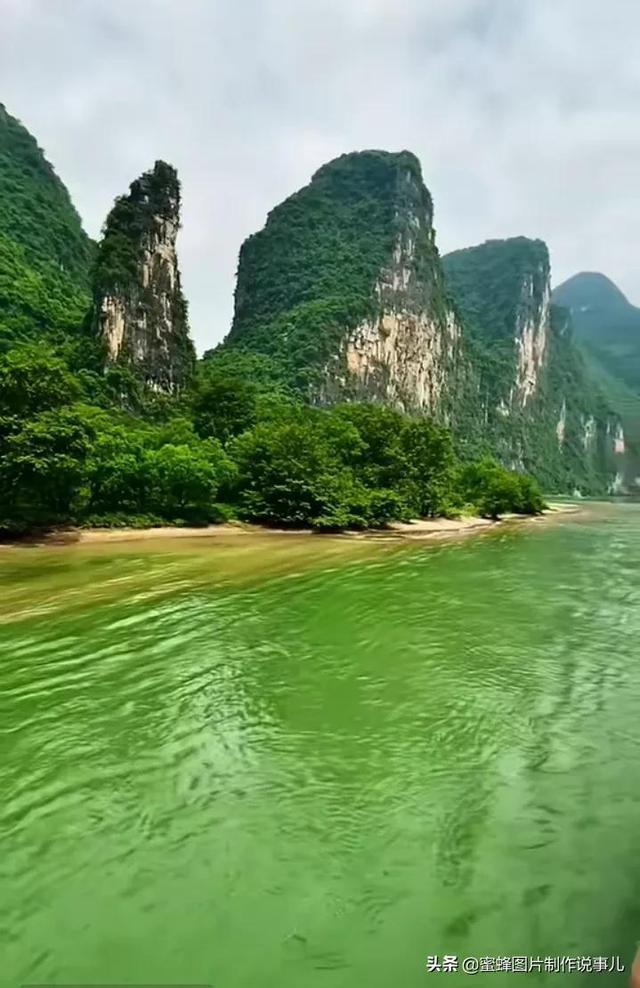 全民烧脑3去广告版