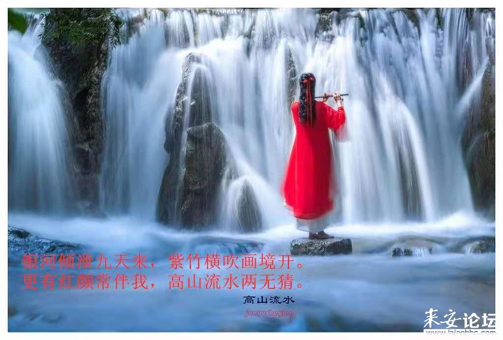 小猫钓鱼开船版最新版下载