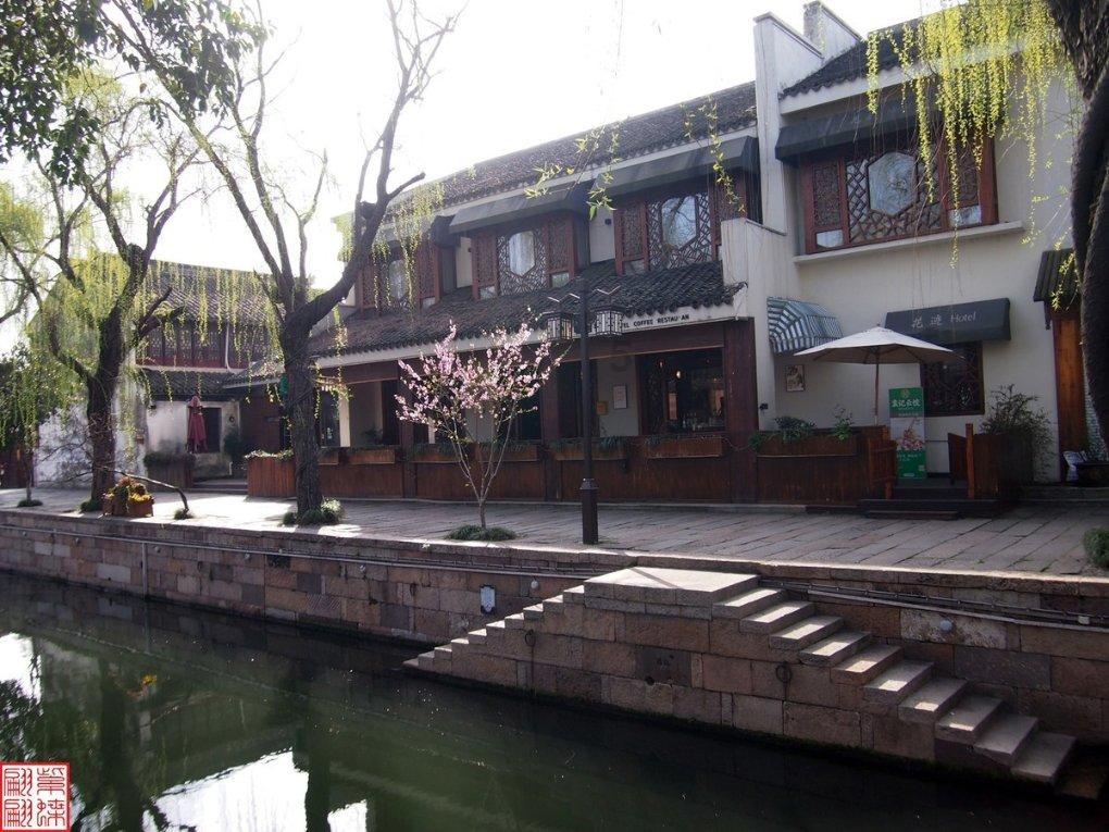 泡沫森林