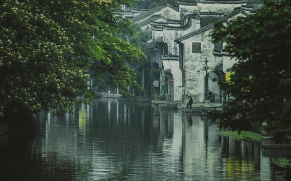 逃离金刚鹦鹉森林