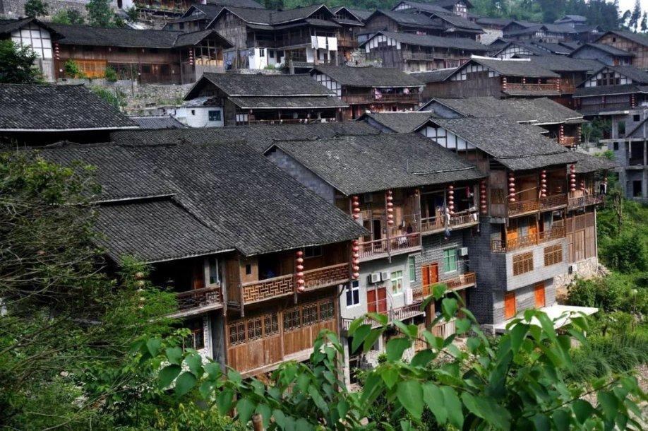 小猫钓鱼游戏龙王版有船