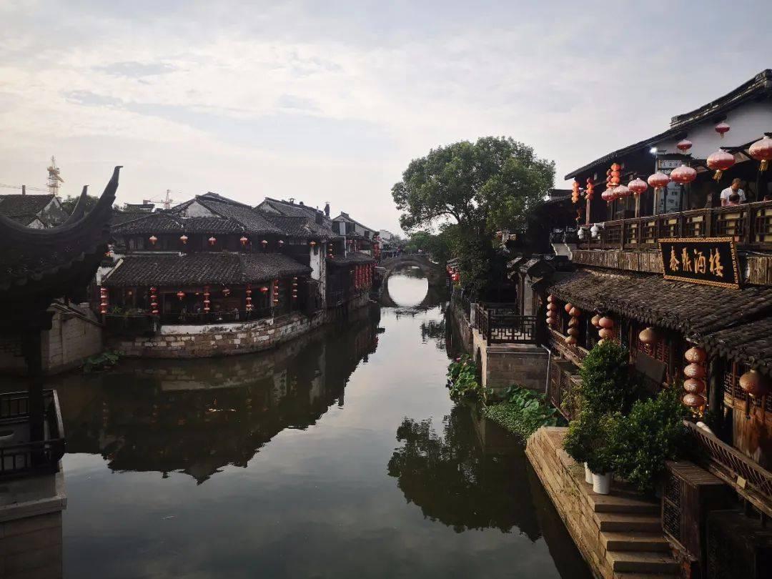 寻找迷路的松鼠