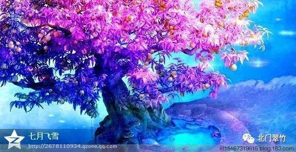 空间更大!新能源纯电动出租车亮相拉萨